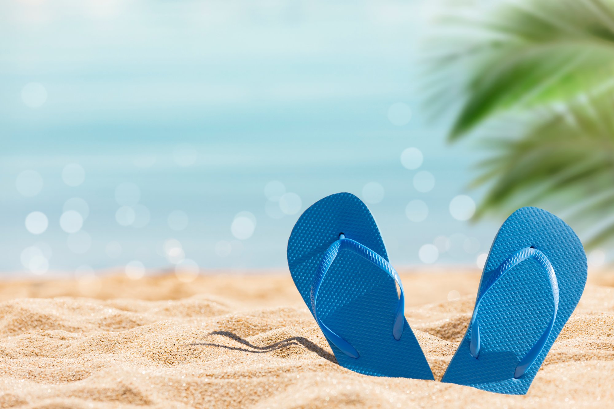 AdobeStock_265407705