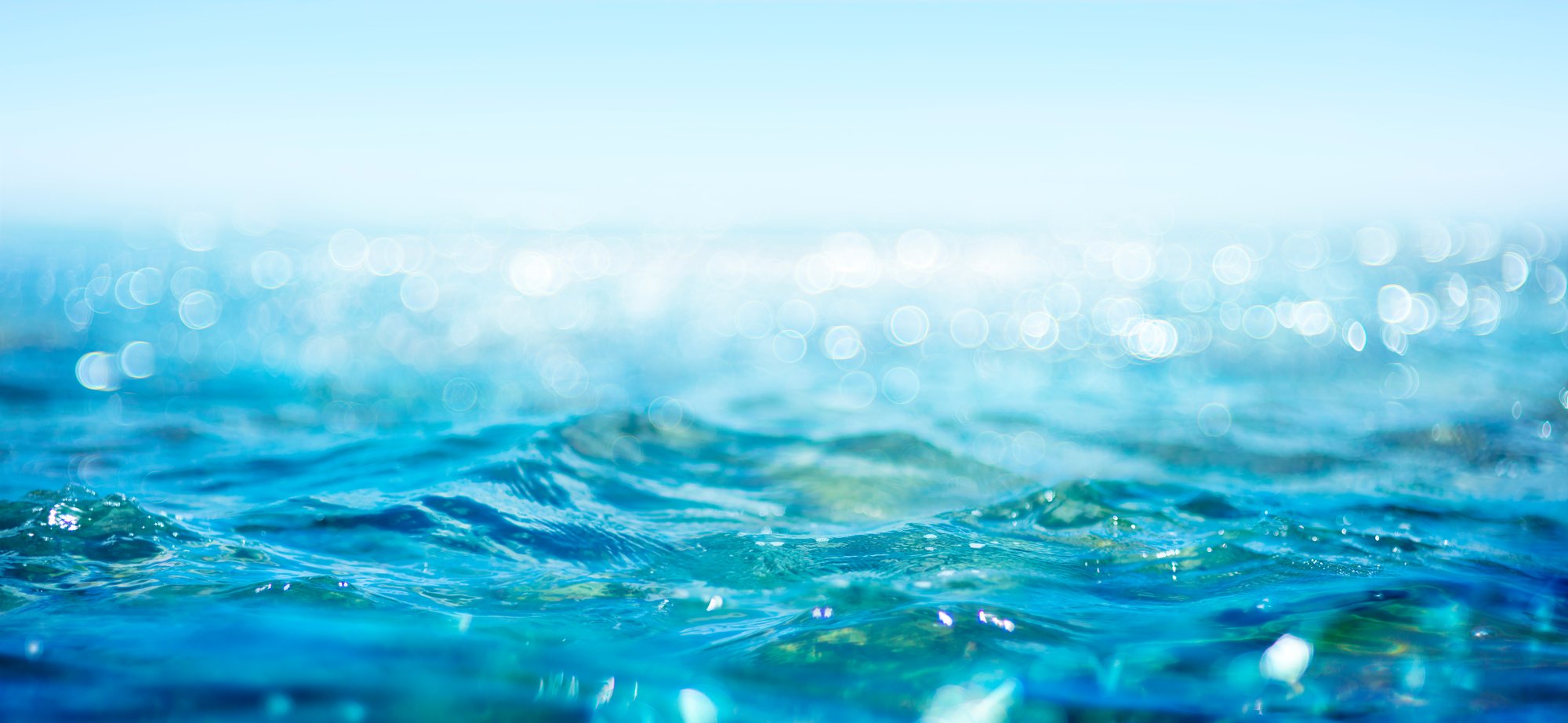 AdobeStock_358562500